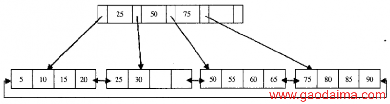 MySQl 目录分析
