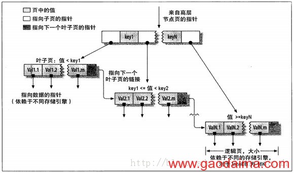 高性能MySql达尔文主义(六):常见索引类型的原理及其特点的介绍