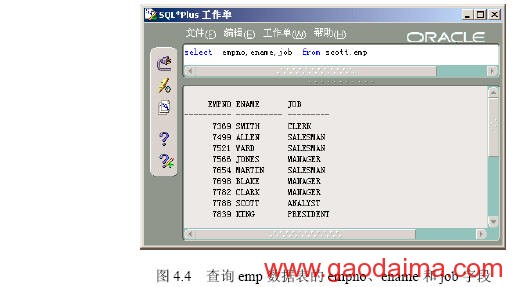 用SQL进行单表查询