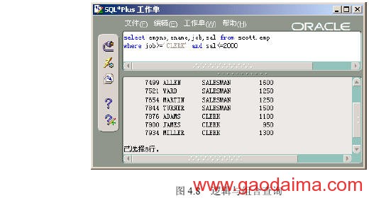 用SQL进行单表查询