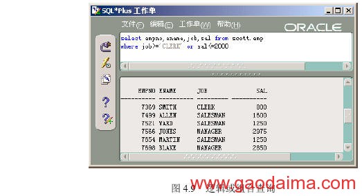 用SQL进行单表查询