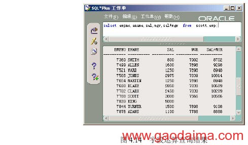 用SQL进行单表查询