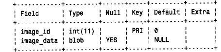 需要避免的MYSQL客户机程序设计错误
