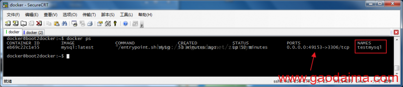 docker windows 七 mysql安装使用教程
