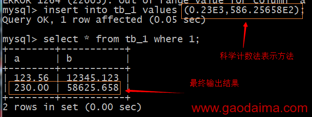 MySQL:数值门类