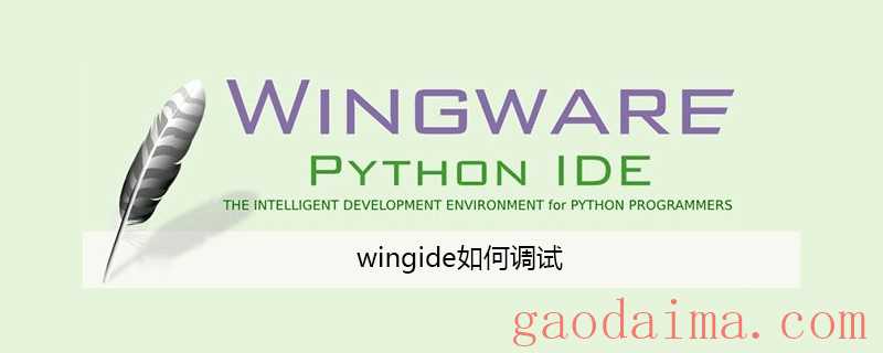 wingide如何调试